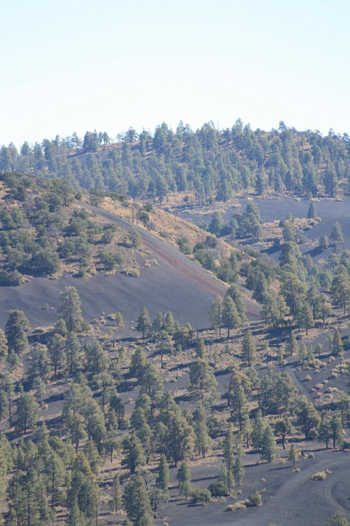 20081025 Grand Canyon 046.jpg - Sunset Crater